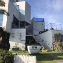 제주다와 | 4박5일 애견동반 제주여행, 제주다와풀빌라 후기