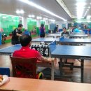 힐링탁구 이미지