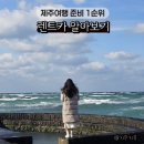 라이프렌트카 | 제주도 렌트카 이용 제주공항 렌트카 쏘카 후기