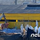 김대홍축산 이미지