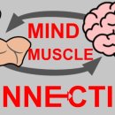 머슬마인드짐 이미지