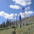 south fork trail san gogonio famiky camping 하면서 이미지