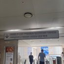 서울좋은치과병원 | 서울대학교치과병원 원내생진료센터 후기 ② — 1층 도착부터 구강검진·스케일링까지