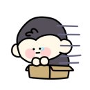 유방5통 이미지