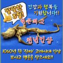 천년인삼 이미지