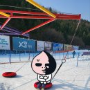 김가네가마솥순대국 이미지