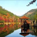 바다생각 이미지