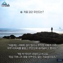 무인도 Daum카페