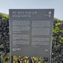 제주 월령리 선인장군락 | 제주 월령리 선인장 군락 주차장 올레길 산책 코스 추천