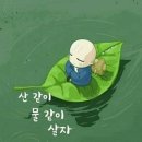 모파상의 여자의일생 이미지