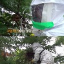 공생 이미지