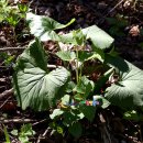 정자리농장 이미지