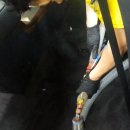 대구자동차 실내크리닝 이미지