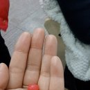 한알학원