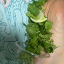 딩굴댕굴 이미지