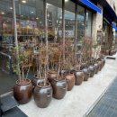 대양공원 이미지