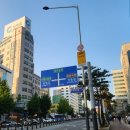 정동 노포 분위기 장수회관 솔직 후기