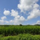 칠연가든 이미지