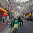 일일오(115) 이미지