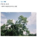 씨유영주영광점 | 여름은 쌀 찌는 계절 🌀