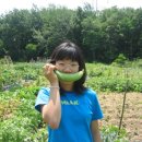 솔비농장 이미지