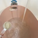 몽이미용실 | 부산 수영구 애견미용 잘 하는곳, 강아지를 사랑하는 마음이 뚝뚝 묻어나는 내 최애 애견미용실 &#39;동이몽이&#39;