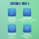 우리가족영양제(3) 초등형제 영양제, 정관장 홍삼, 아이패스 제이