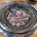 임성근국가공인진갈비 이미지