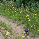 미단중앙로 이미지