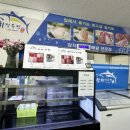 보령참치정육점