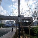 이노약품 | 야외 포충기 루미오키퍼 사용 후기! 설치 후 파리 모기 싹 제거