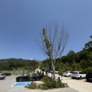 서울승마힐링캠프 이미지