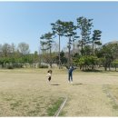 [평생학습관 온라인 강좌] 한국사에서 늘 만나는 ’한국문화재’ | 2023 베트남어 관광통역안내사 합격후기 면접후기 FLEX 시험후기