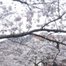 여좌천로 이미지