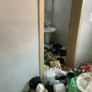 김포특수청소