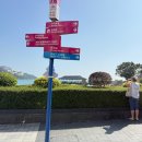 형성프라자 앞 버스정류장(1) | 홍콩여행 4일차 | 스탠리에서 버스타고 '리펄스 베이 비치'로!