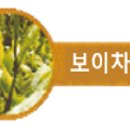 (주)솔리나 네이버블로그