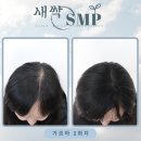 롯데서울역라인 이미지