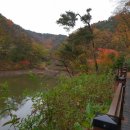 백야자연휴양림 이미지