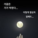 선의로 포장 임대주택, 너나 살아라” 기안84, 뼈 때리는 부동산 웹툰 이미지