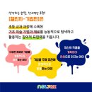 미술노리터