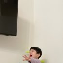 쉼 127 키즈가족 협재점 이미지