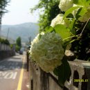 명곡초등 이미지