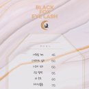 여우눈썹 네이버블로그