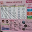 11500-19-29-27 | 제 19회 제주 전농로 왕벚꽃 축제(3/27~3/29) 1일차 방문후기 (일정, 체험부스 안내 등)