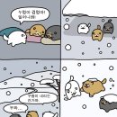 순진한 강아지 이미지