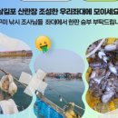 다잡아낚시 이미지