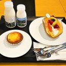 토야푸드 | 홋카이도 삿포로 키노토야 카페 오도리공원점 우유 아이스크림 치즈타르트 메뉴 가격 후기