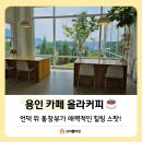 언덕위커피나무 | 에버랜드 인근 언덕 위 뷰 맛집 올라커피 통창 뷰에 반하고 온 후기!