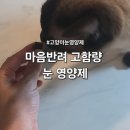 마음반려 고함량 눈 영양제 기호성 좋은 고양이 강아지눈영양제 솔직후기